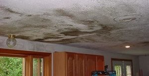 Mold Growth On Ceiling Due To Upstairs Bathroom Flood