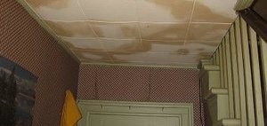 Water and Mold Stains On Ceiling After Upstairs Leak