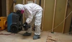 Technician In Full Protective Gear Cleaning Up Mold