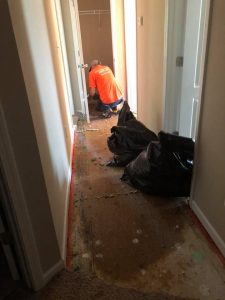 Cleaning Up Sewage Water Damage